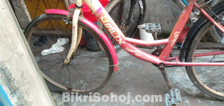 লেডিস সাইকেল